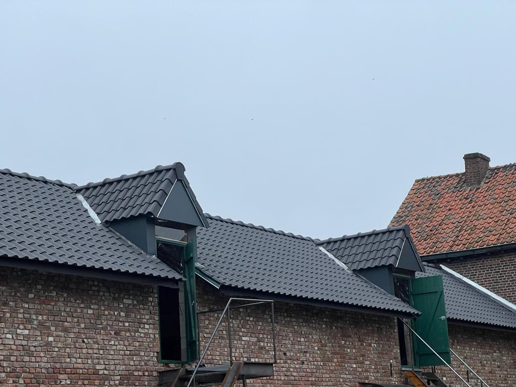 Afgewerkte dakranden en goten